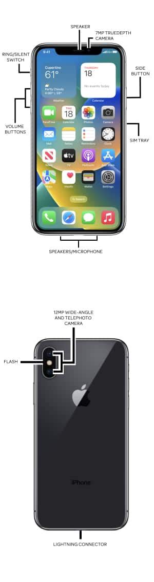 what is the metal pin in iphone xr box|Apple iPhone XR Diagram .